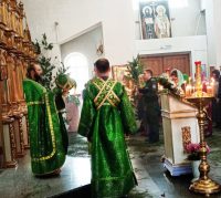 Праздник  Святой Троицы в Кафедральном соборе г. Карасука